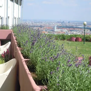 Palace Schlossherberge Wien